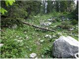 Rudno polje - Debeli vrh above Lipanca